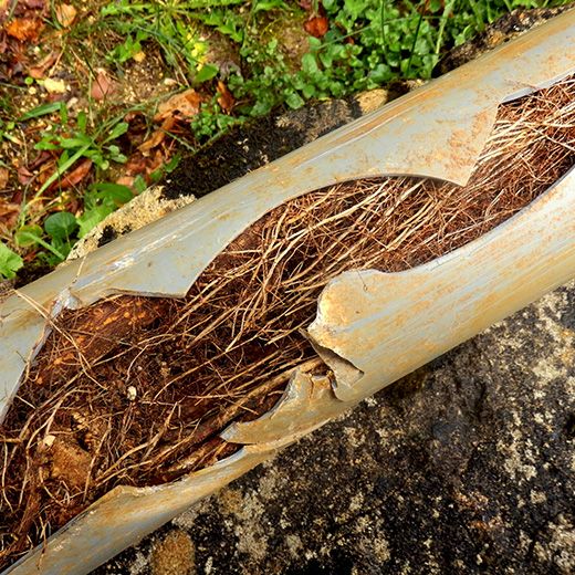 Same Day Drain Sewer & Rooter Pros Across Carroll